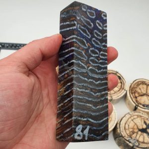 Stabilized mammoth tooth