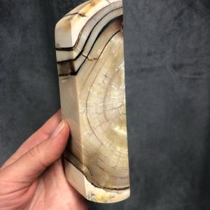 Stabilized mammoth tusk