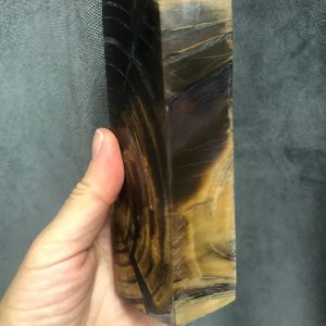 Stabilized mammoth tusk