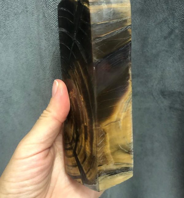 Stabilized mammoth tusk
