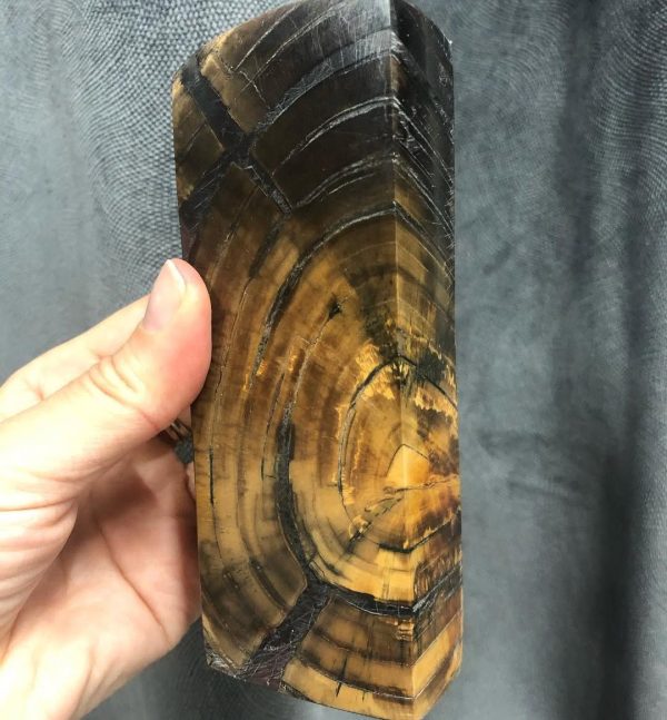 Stabilized mammoth tusk - Image 2