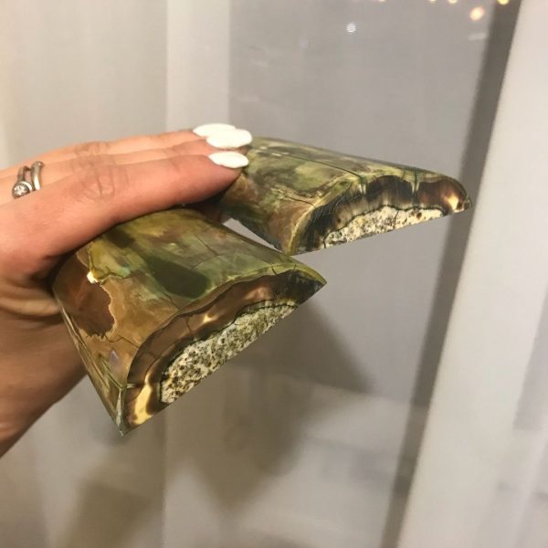 Stabilized walrus Fang. - Image 3